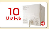 10L